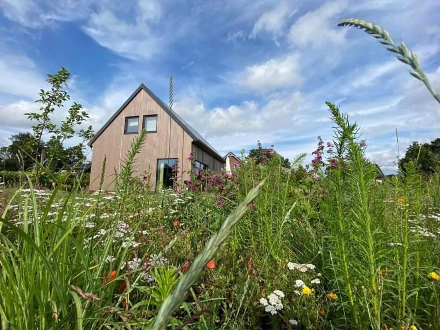 Haus Am See Rieste ภายนอก รูปภาพ