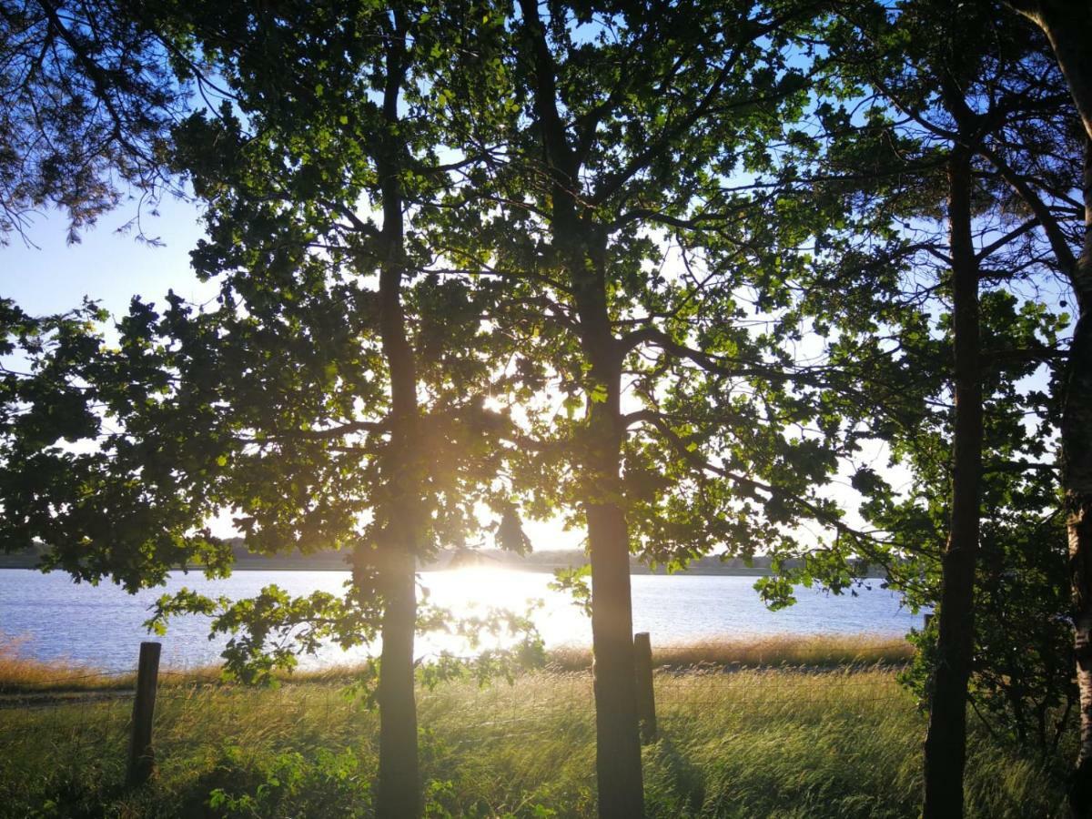 Haus Am See Rieste ภายนอก รูปภาพ